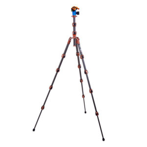 Pro 2.0 Leo + AirHed Pro LV bonze
