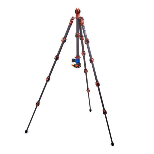 Pro 2.0 Leo + AirHed Pro LV bonze