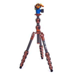 Pro 2.0 Leo + AirHed Pro LV bonze