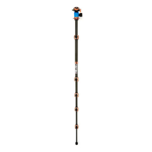Pro 2.0 Leo + AirHed Pro LV bonze