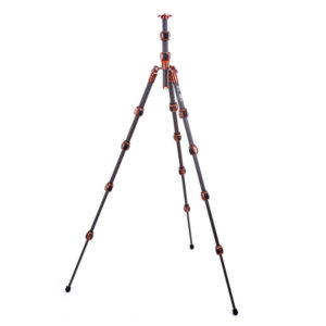 Pro 2.0 Leo Carbon bronze