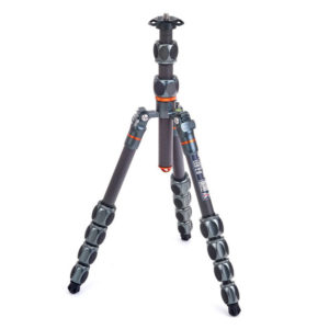 Pro 2.0 Leo Carbon grau