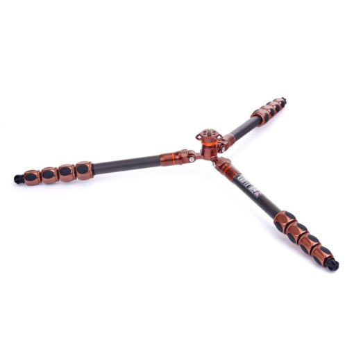Pro 2.0 Albert Carbon bronze