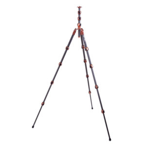 Pro 2.0 Albert Carbon bronze