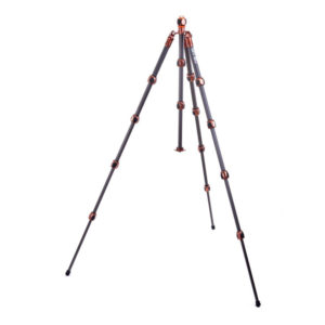 Pro 2.0 Albert Carbon bronze