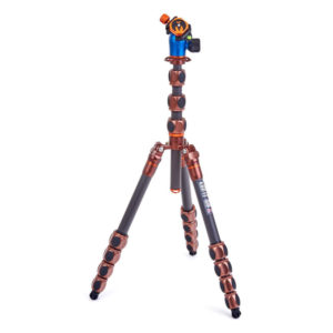 Pro 2.0 Albert + AirHed Pro bronze