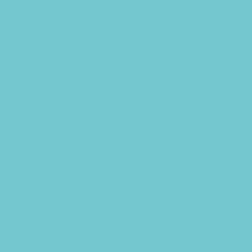<span class="marke">BD Hintergrundkarton </span>Aqua 2,18x11m – Bild 3