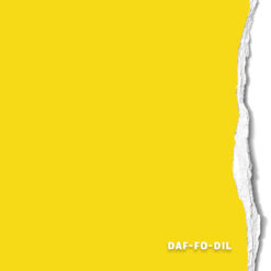 <span class="marke">BD Hintergrundkarton </span>Daf-Fo-Dil 2,18x11m