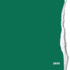 <span class="marke">BD Hintergrundkarton </span>Jade 1,35x11m