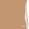 <span class="marke">BD Hintergrundkarton </span>Latte 2,75x11m