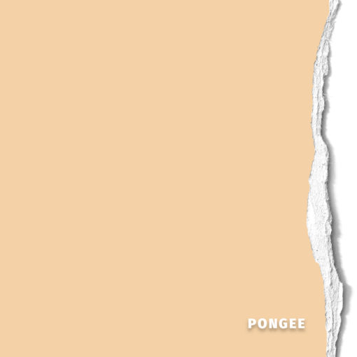 <span class="marke">BD Hintergrundkarton </span>Pongee 2,75x11m