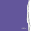 <span class="marke">BD Hintergrundkarton </span>Purple 2,75x11m