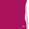 <span class="marke">BD Hintergrundkarton </span>Red 2,75x11m