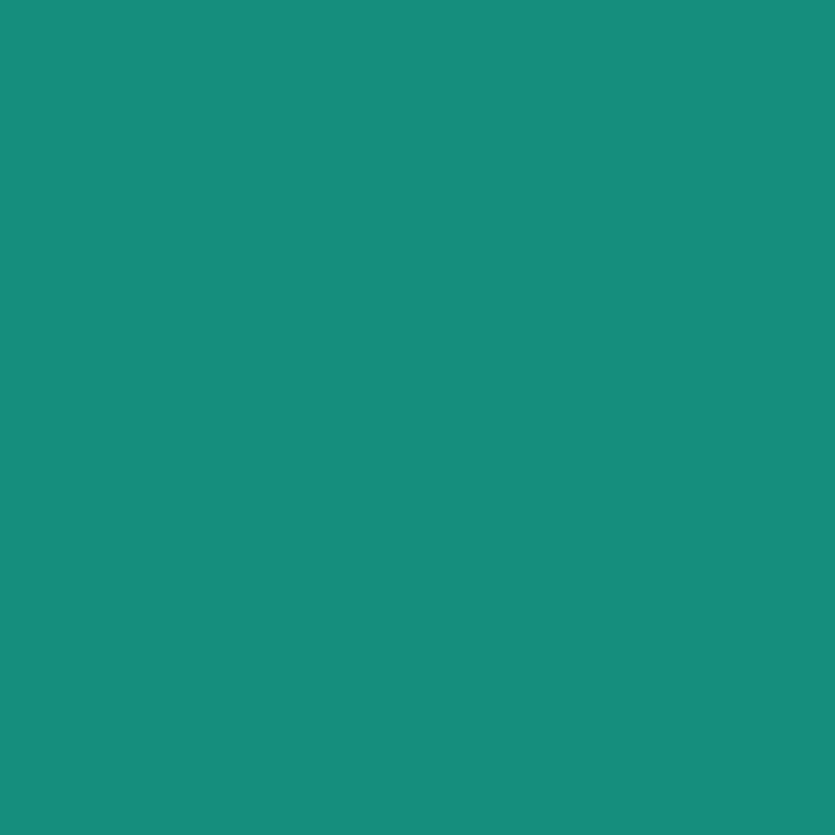 <span class="marke">BD Hintergrundkarton </span>Teal 2,18x11m – Bild 3