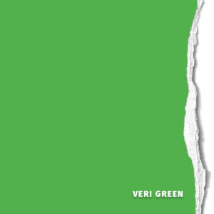 Hintergrundkarton Veri Green 2,75x11m