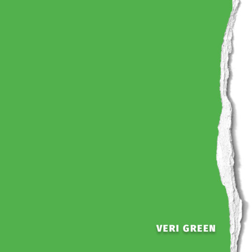<span class="marke">BD Hintergrundkarton </span>Veri Green 1,35x11m