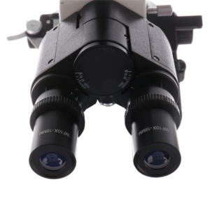 Study BYO-500T