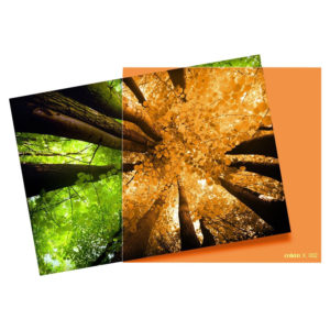 Filter X002 Orange