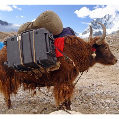 5140 Trolley schwarz mit Schaumstoff