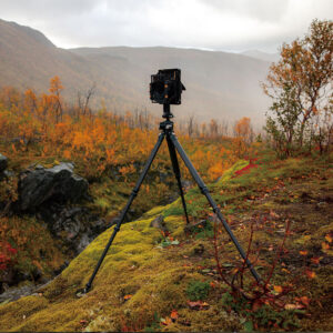 Falcam TreeRoot Quick Lock Pro Tripod T00A4901