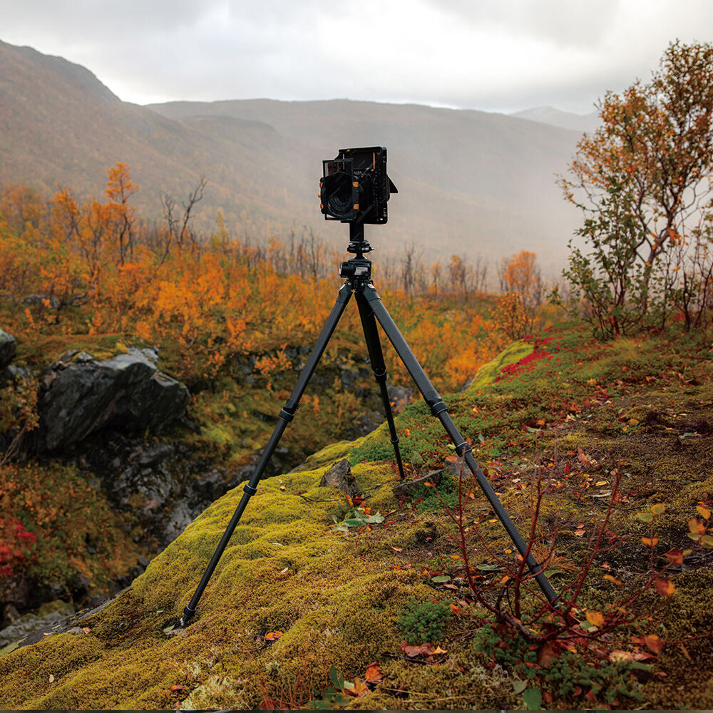 Falcam TreeRoot Quick Lock Pro Tripod T00A4901