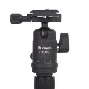 X Go Gecko schwarz