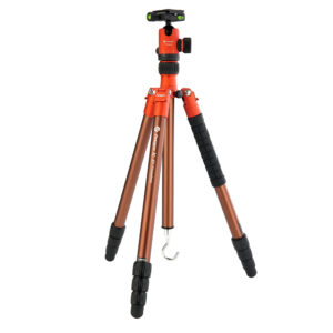 X Go Chameleon orange