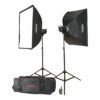 Godox MS300 F Set