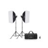 <span class="marke">Godox </span>MS200V-F Dual Studioblitz Set