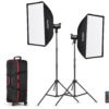 Godox LED SL100D Duo Set