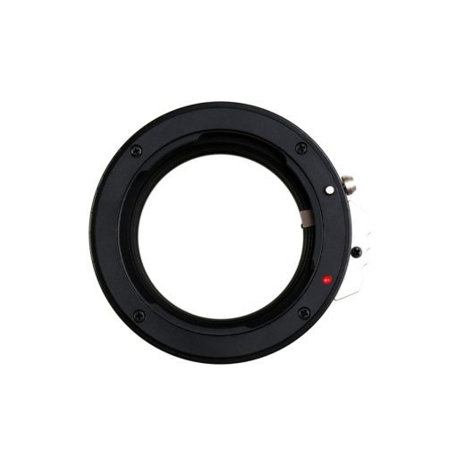 Pentax DA auf Sony E Makro Objektivdapter