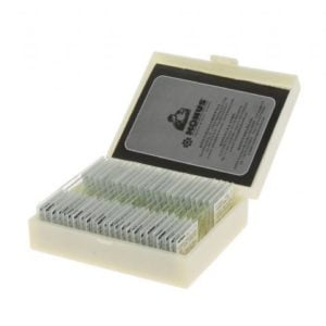 Biology, Cell and Animal Tissue Präparate Set 25 Stk.
