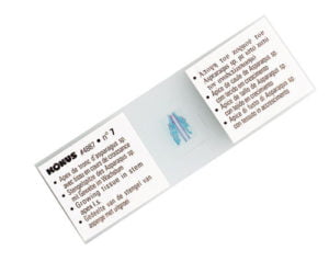 Pathological Human Tissue 1 Präparate Set 10 Stk.