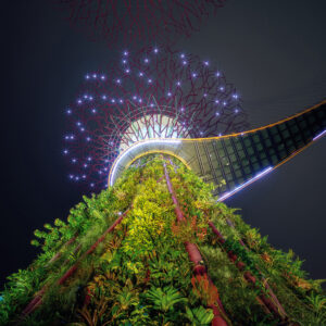 14mm f/4 Zero-D Canon EF, Nikon F