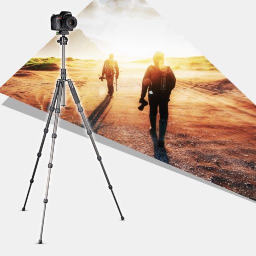 light traveller Carbon schwarz