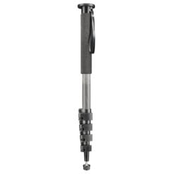 <span class="marke">walimex pro </span>WAL-1983 Carbon