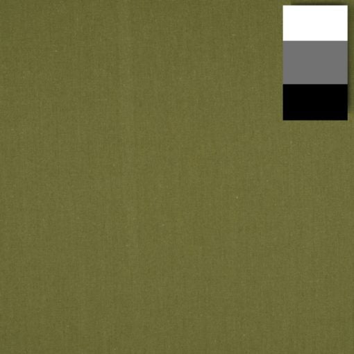 <span class="x">walimex<br> </span>Stoffhintergrund kaktus<span class="x"> <br>2,85x6m</span>