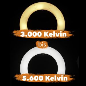 LED Ringleuchte 500 ø50cm