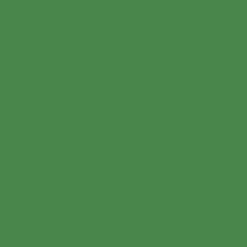 <span class="marke">walimex pro Hintergrundkarton </span>Chroma Green