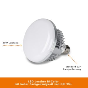 LED 60W Softbox 40x60cm BiColor